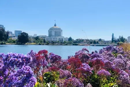 湖位于merritt in oakland.